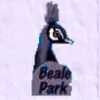 Beale Park