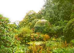 Cotehele
                Gardens