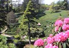 Glendurgan
                Gardens