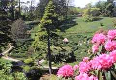 Glendurgan Gardens