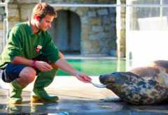 National Seal sanctuary