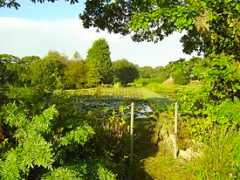 Penrose Water Garden