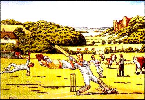 Cricket Match