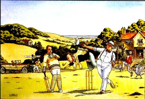 Cricket Match