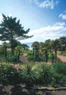 Bournemouth Gardens