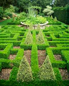 Bourton House Knot Garden