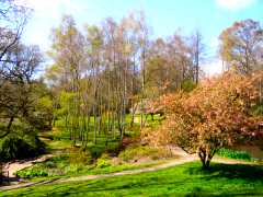 Furzey Gardens, Hampshire