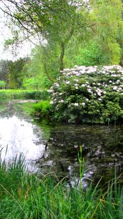 Crosswater Farm Garden