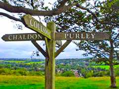 signpost atop Farthing Downs