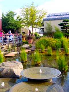 Harveys store roofgarden