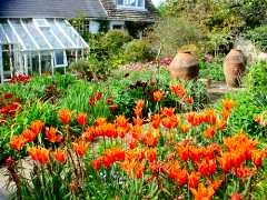 Monk's House Garden, East Sussex