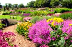 Sussex Prairie Garden