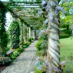 West Dean Pergola