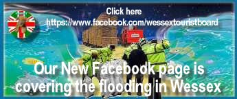 Our facebook
                                                      page