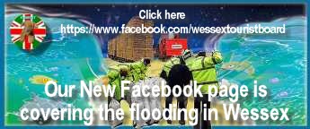 Our facebook
                                                      page