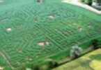 Elton Farm
                    Maze