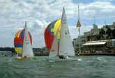 Cowes Week