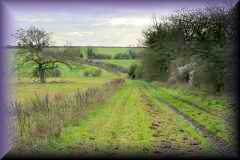 Abbotstone Down