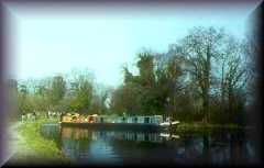 Basingstoke
                    Canal Centre