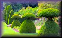Hinton Ampner Gardens