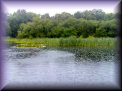 Yeteley Common
                    Country Park