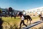 Wolverhampton Race Track