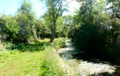 Wilts & Berks Canal