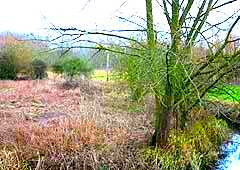 Cuttle Brook Nature Reserve