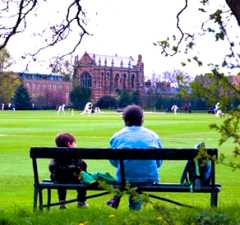 Cricket in the Parks