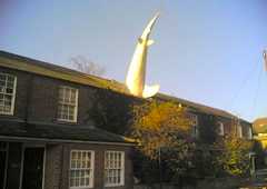The Headington Shark