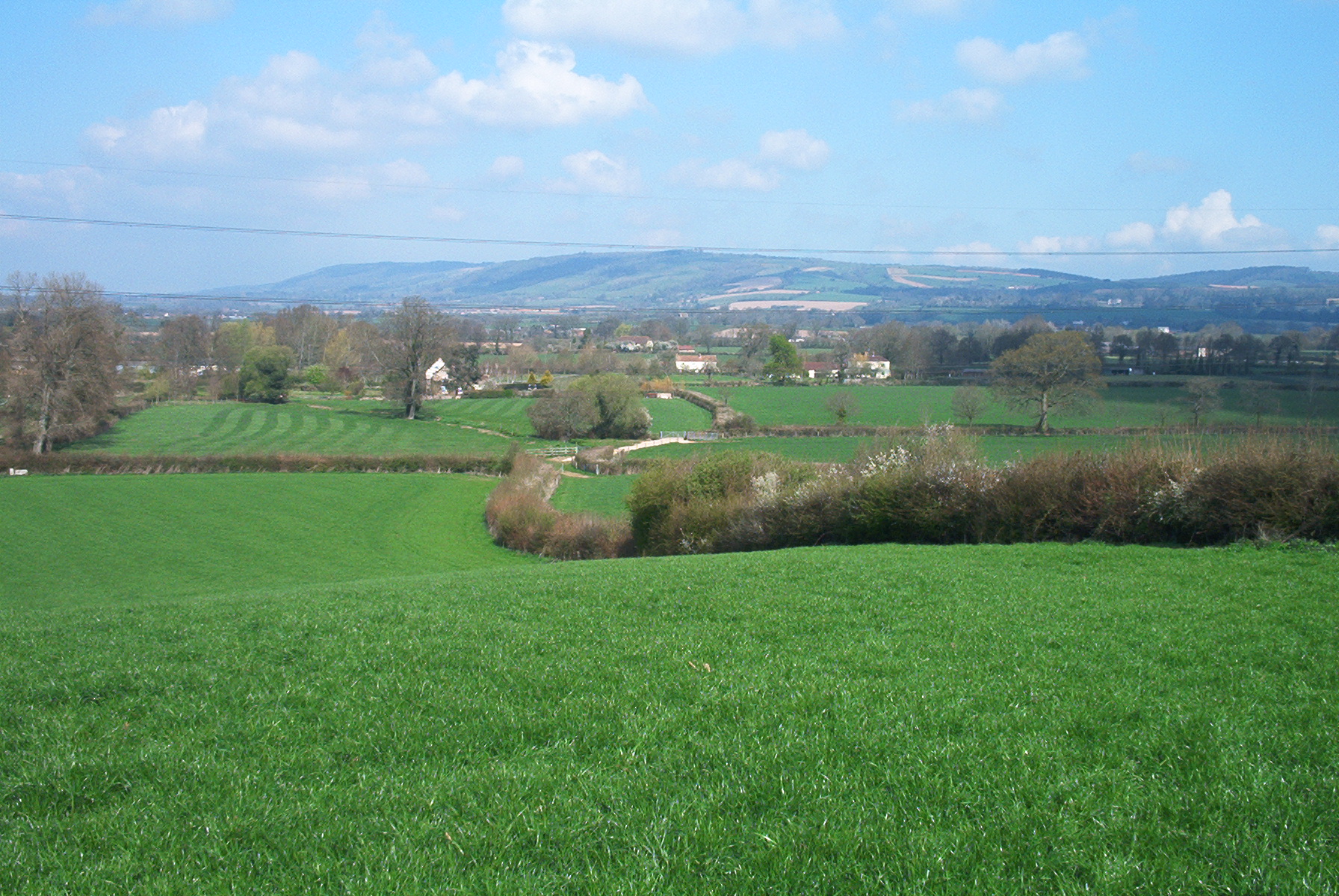 Staplegrove Parish