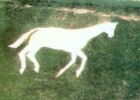 Devizes
                  White Horse