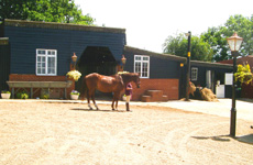 Littlebourne stable yard