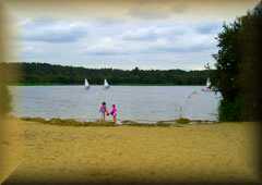 Frensham Great
                Pond