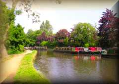 Wey Navigation Canal