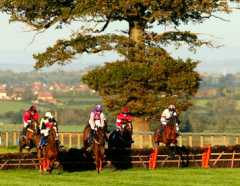 Taunton Racecourse