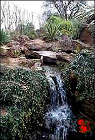 The rock garden in Wellington Park